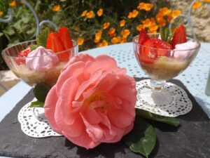 Compote de rhubarbe, banane, fève tonka.....et quelques fraises !