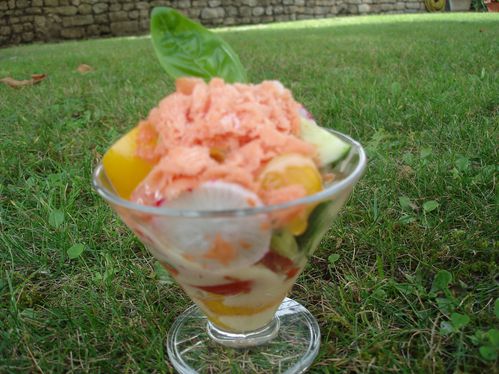 Granité à la tomate : Recette facile et savoureuse