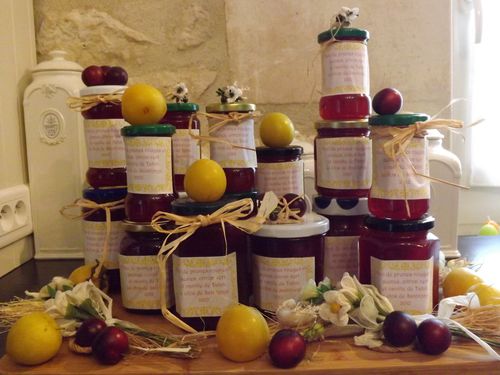 Confiture Savoureuse : Duo de Prunes au Citron Vert et à la Vanille