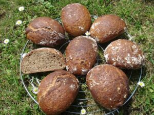 Petits pains sans pétrissage à la farine de noix