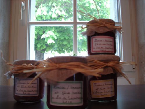 Confiture Maison Facile : Fraise, Banane & Tonka en MAP