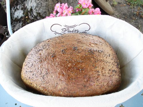 Pain aux graines de pavot bleu : Recette facile et savoureuse