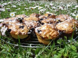 Scones aux myrtilles en 6 étapes