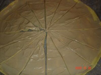 Croissants Savoureux à la Crème d’Anchois et Sésame