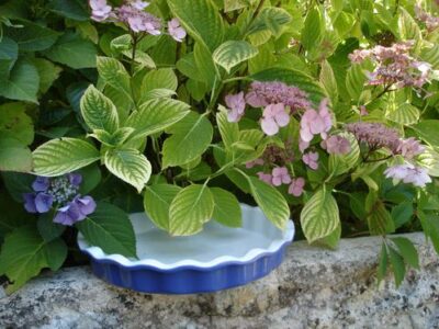 Balade et vide-greniers du dimanche : Trouvez des trésors authentiques !