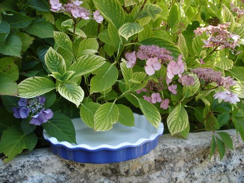 Balade et vide-greniers du dimanche : Trouvez des trésors authentiques !