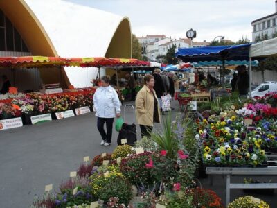 Bonjour Rapide : Découvrez Notre Meilleur Message !