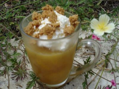 Panna Cotta Facile aux Prunes d’Or et Saveurs de Pain d’Épices