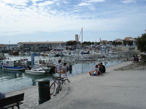 Balade Authentique à la Cotinière : Découvrez le Meilleur Paysage
