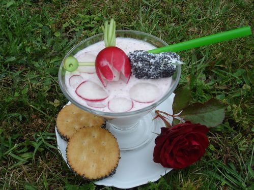 Recette facile : Cappuccino de radis au chèvre et raifort