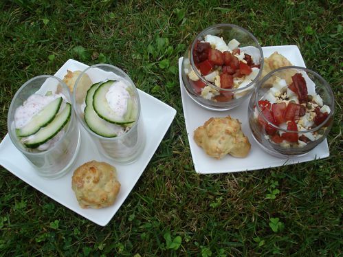 Duo de verrines apéritif : Recette facile et savoureuse