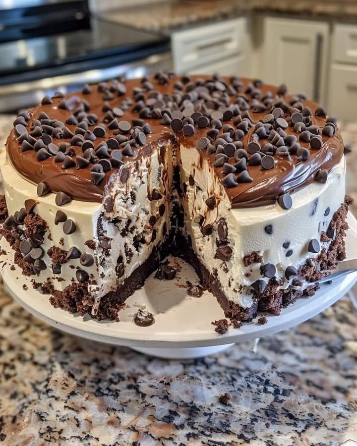 Gâteau Glacé Chocolat