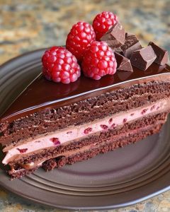 Gâteau Mousse Framboise Chocolat