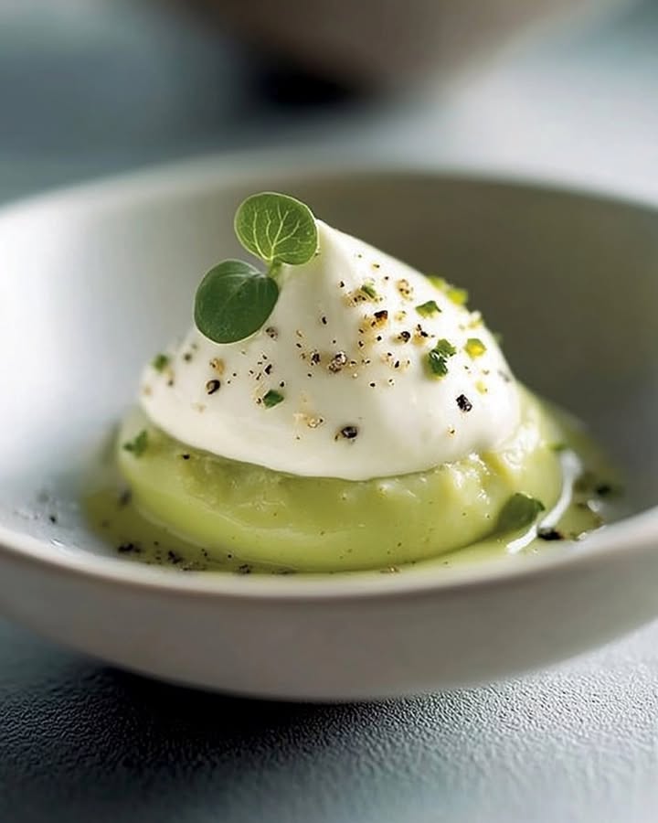 Crème Avocat Coriandre